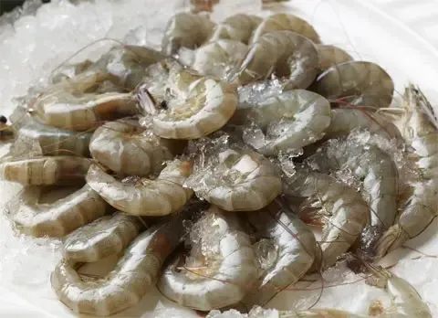 frozen shrimps